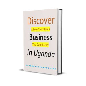 Low-Cost Business to do In Uganda