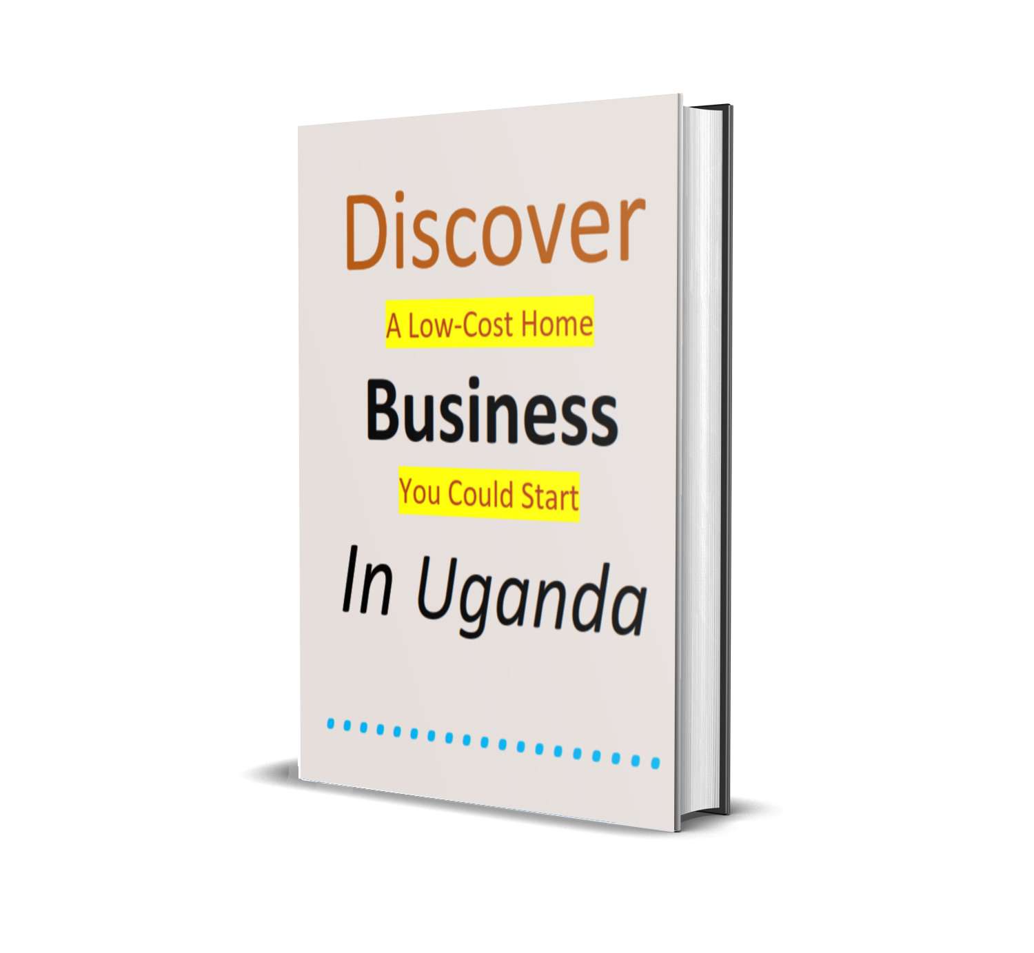 Low-Cost Business to do In Uganda