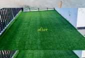 grass carpet