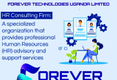 HUMAN RESOURCE CONSULTING