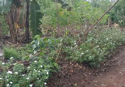 VideoCapture_20240510-024825