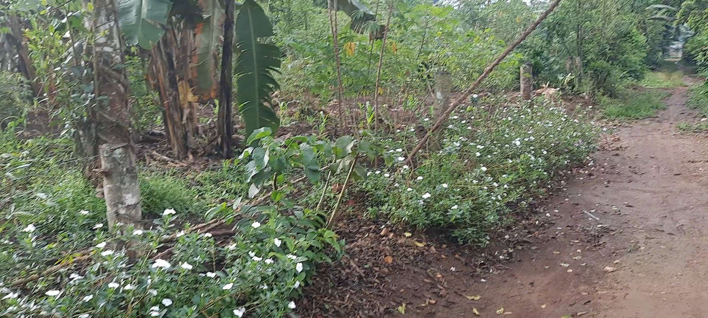 Residential plot for sell