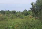 Residential plot for sell