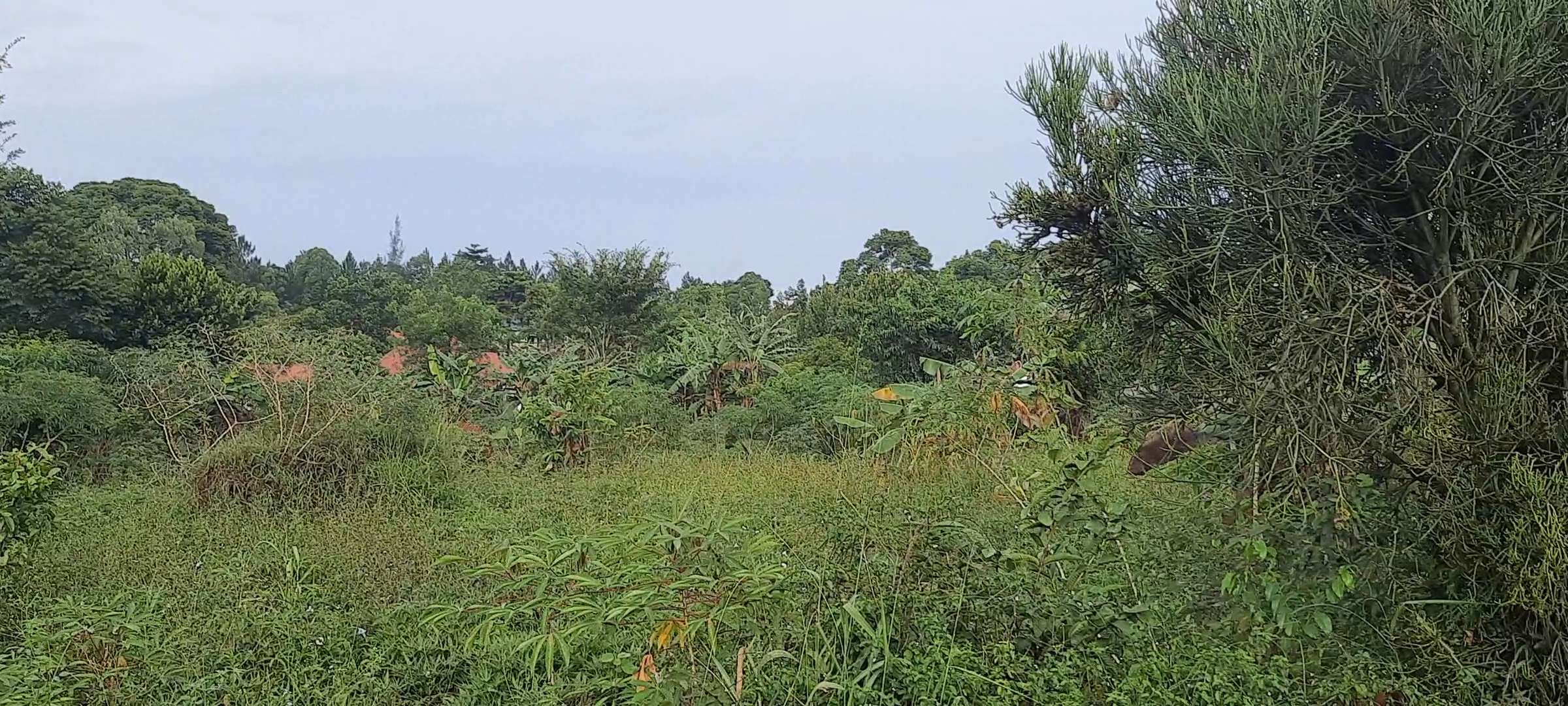 Residential plot for sell