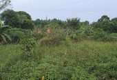 Residential plot for sell
