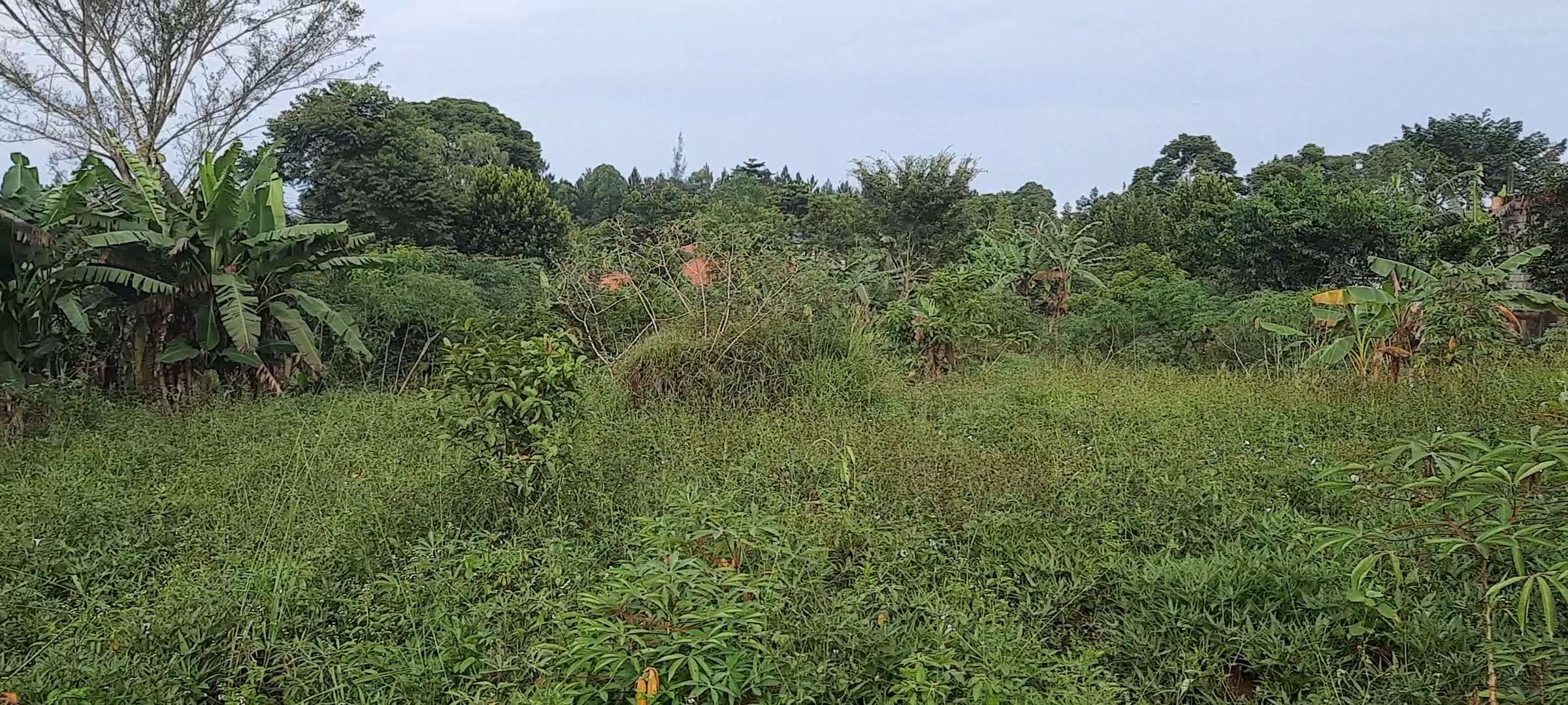 Residential plot for sell