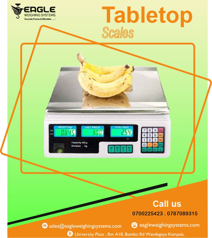 Stainless Tabletop Scales