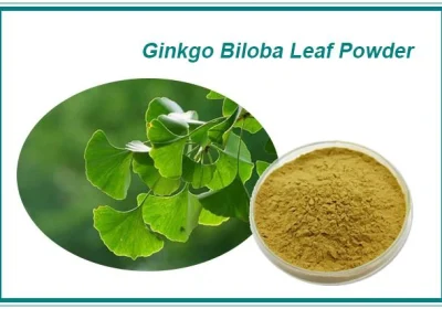 ginkgo-biloba-leaf-extract-powder17373054324