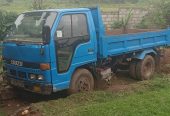 Isuzu Elf For Sale