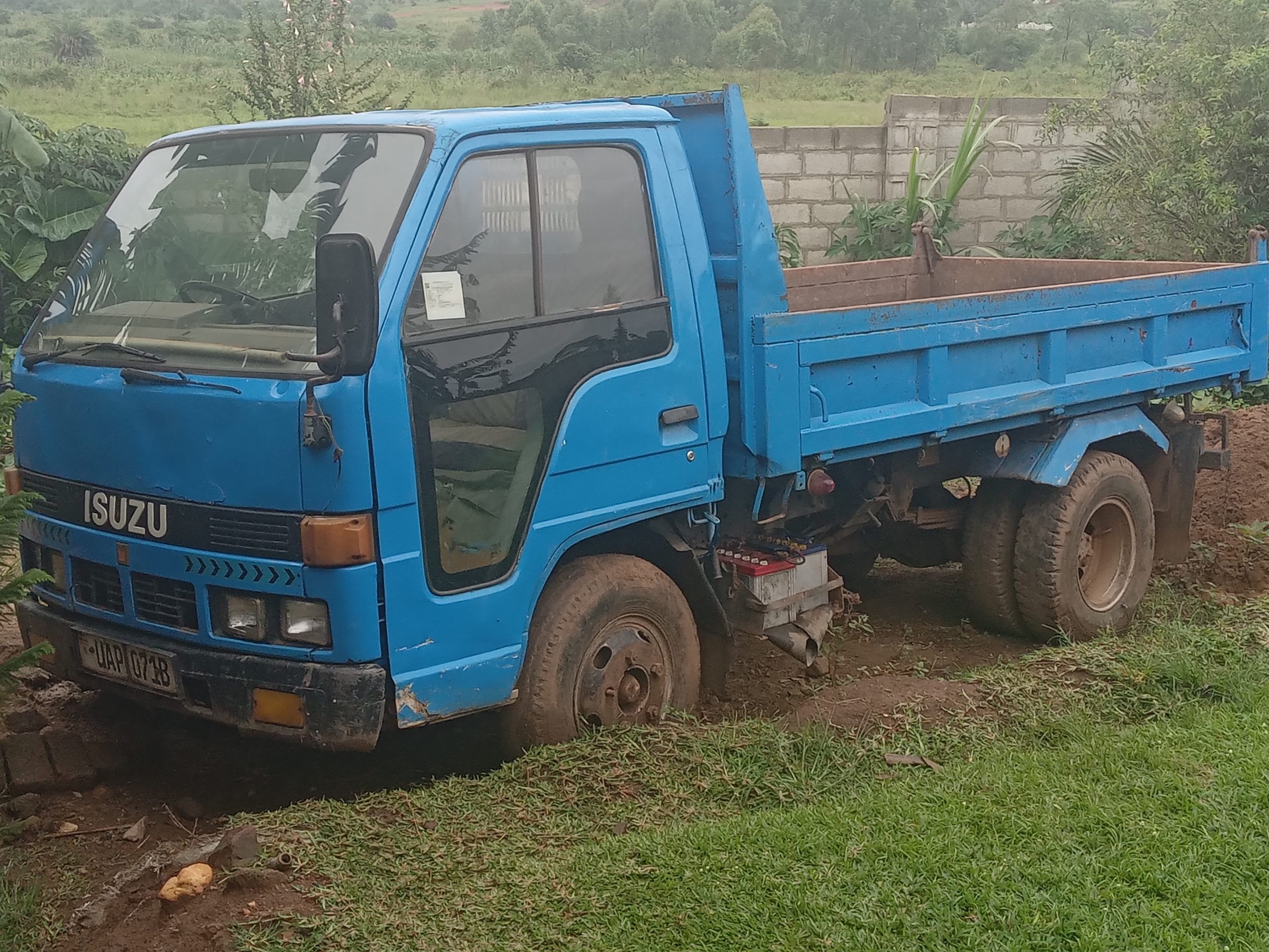 Isuzu Elf For Sale