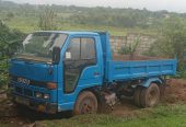 Isuzu Elf For Sale