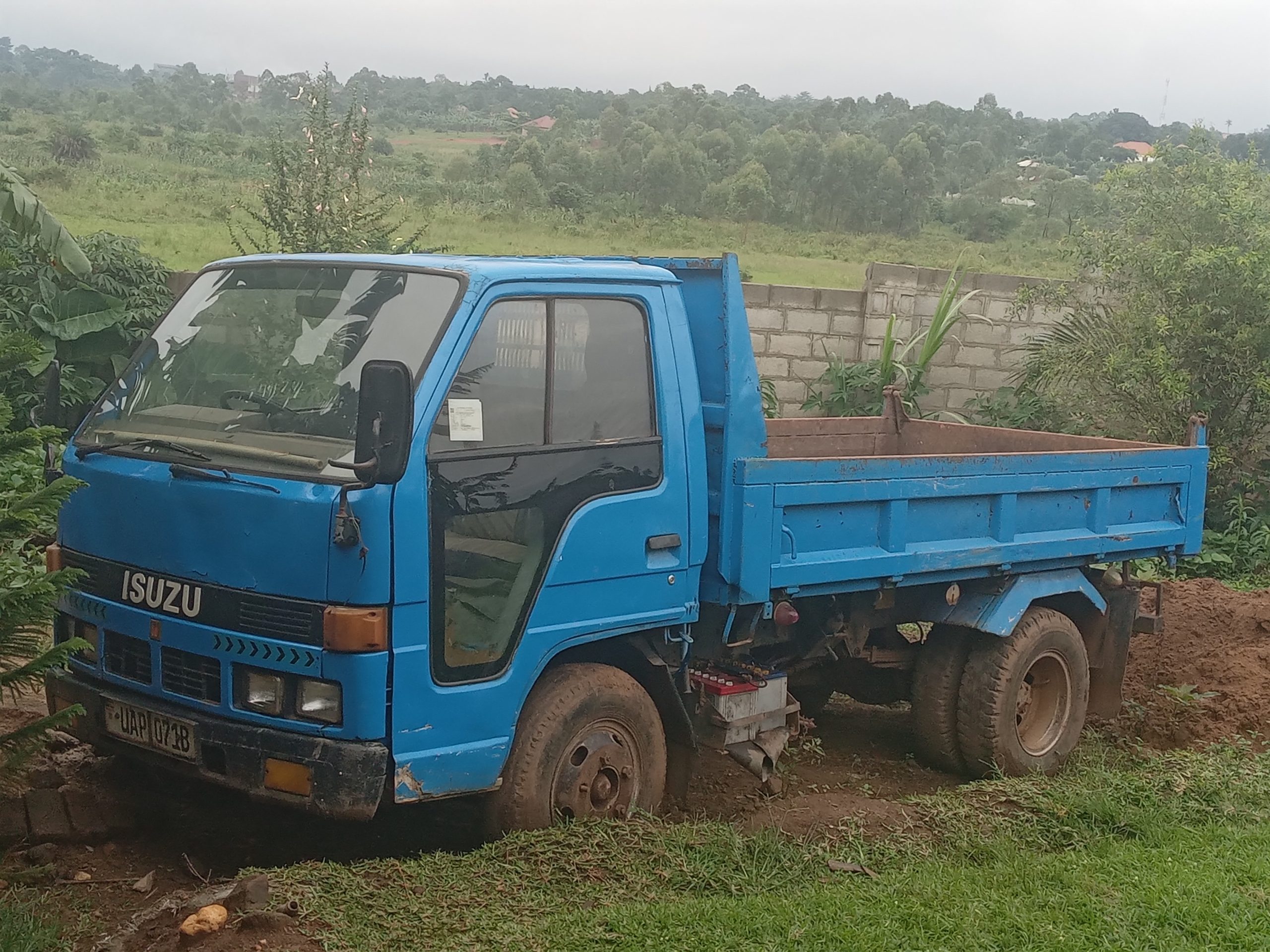 Isuzu Elf For Sale