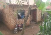 House and plot for sale