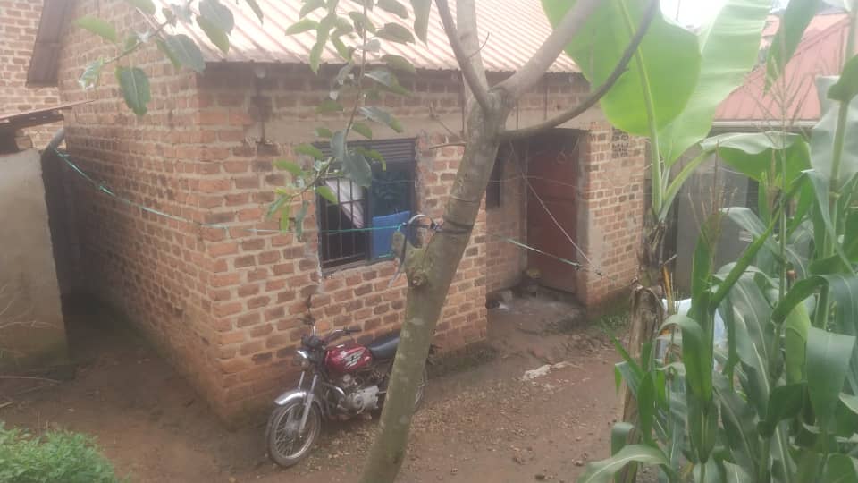 House and plot for sale