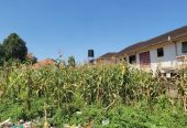 20DECIMALS IN NTINDA 480M