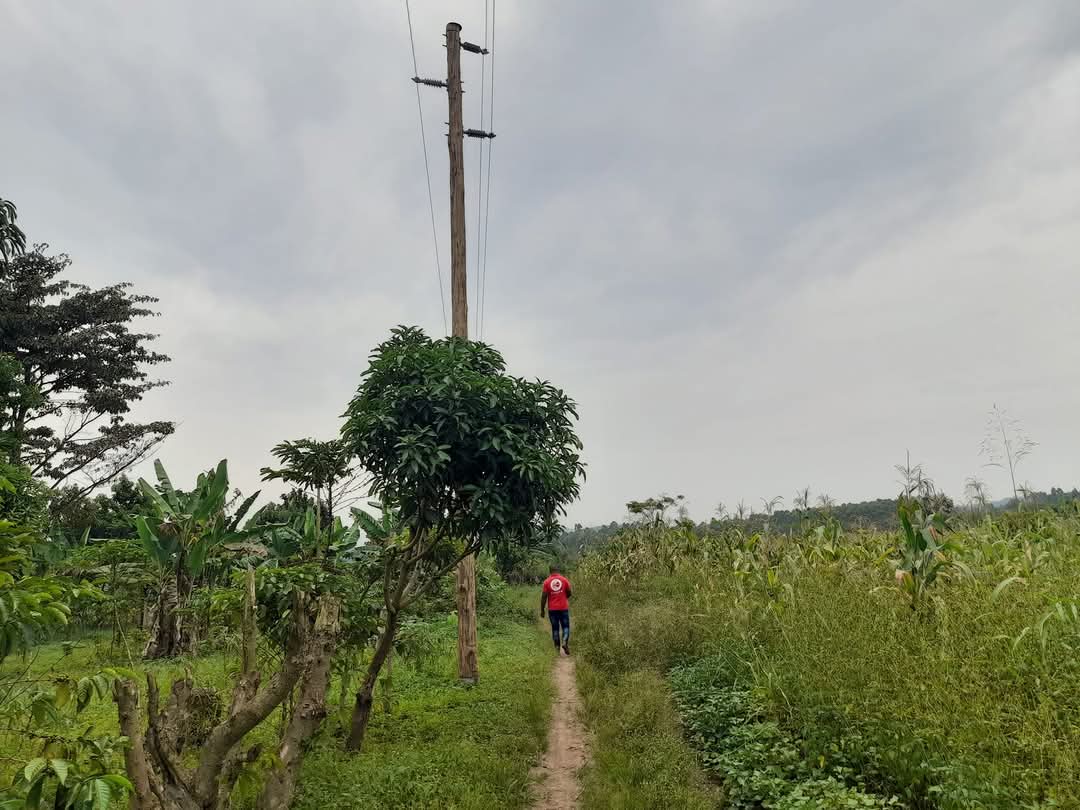 FARMLAND 4ACRES IN BOMBO