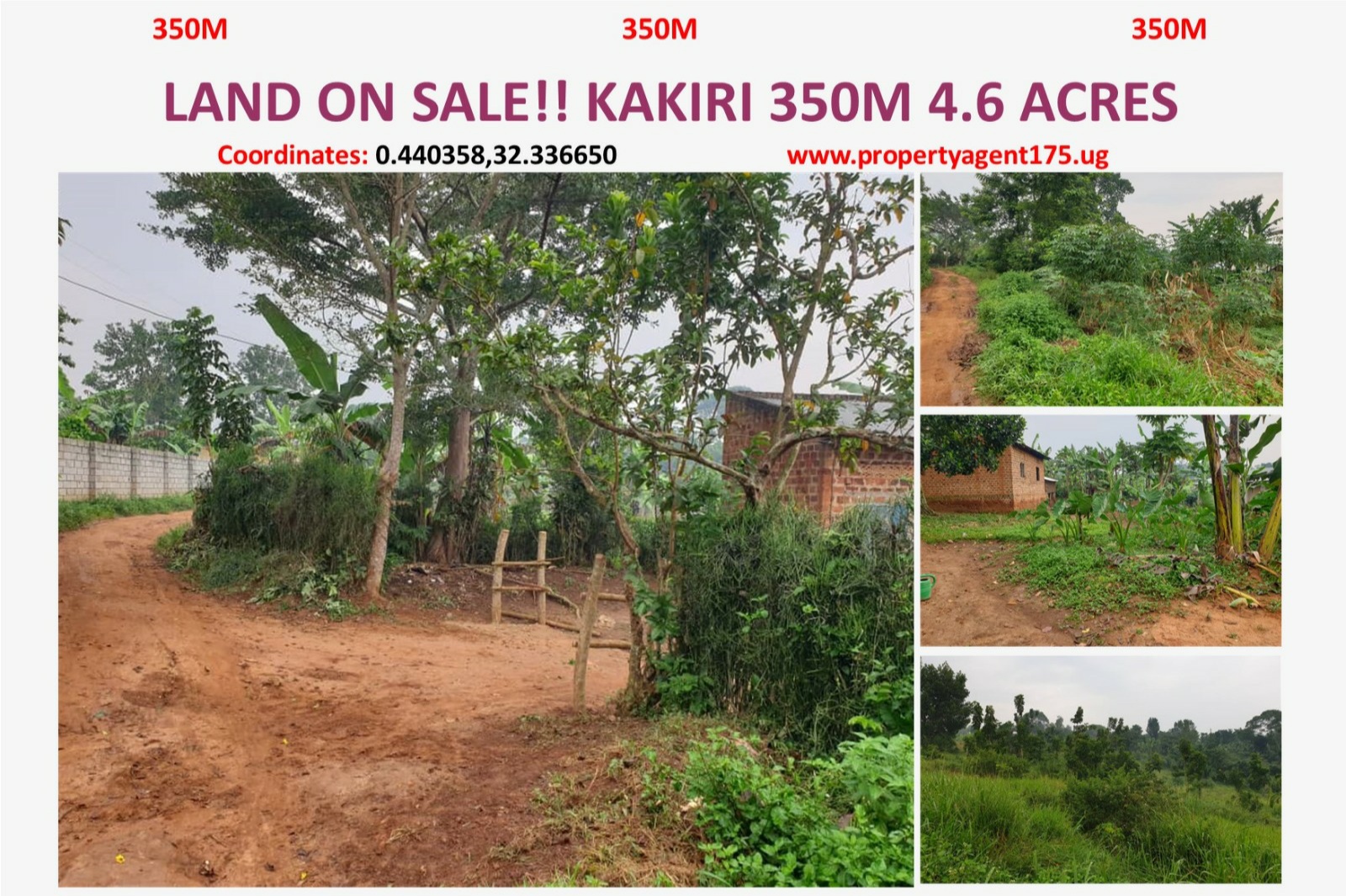 4.6 acres on sale in Kakiri