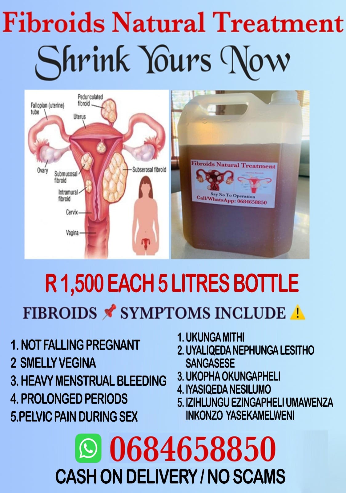 Fibroids Natural Treatment