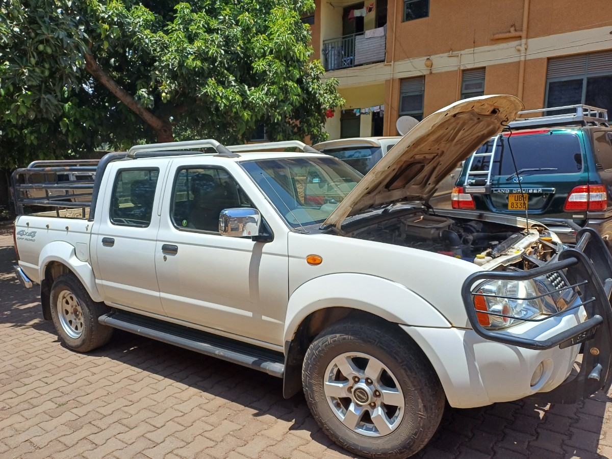 NISSAN HARDBODY WHITE
