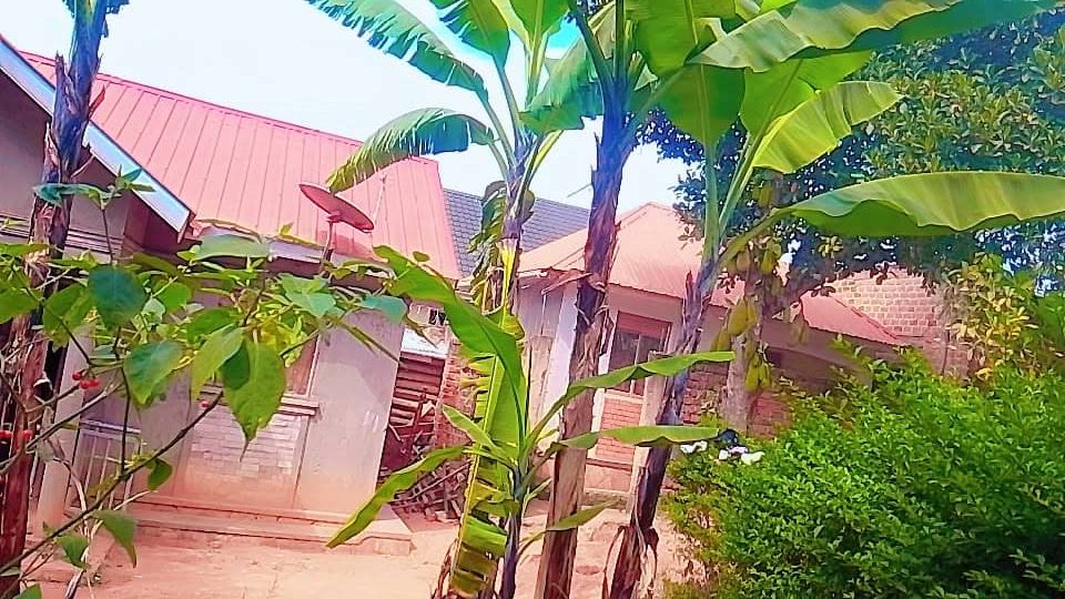 Land wiz 02 houses for sale