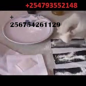 AUTOMATIC SSD SOLUTION